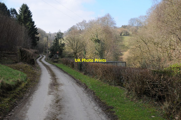 Photo 6"x4" No through road to The Bower Kington\/SO2956 c2018