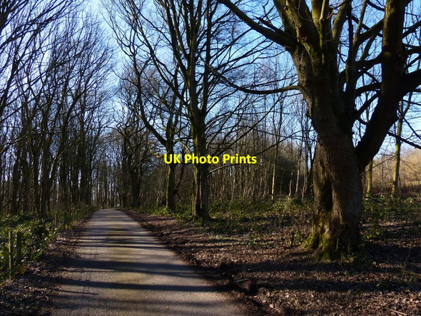 Photo 6"x4" Burroughs Road at Ratby Burroughs Bondman Hays c2018