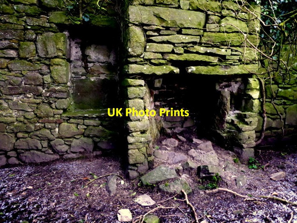 Photo 6"x4" Cottage ruins, Mullagharn (interior) Mountjoy\/H4277 c2018
