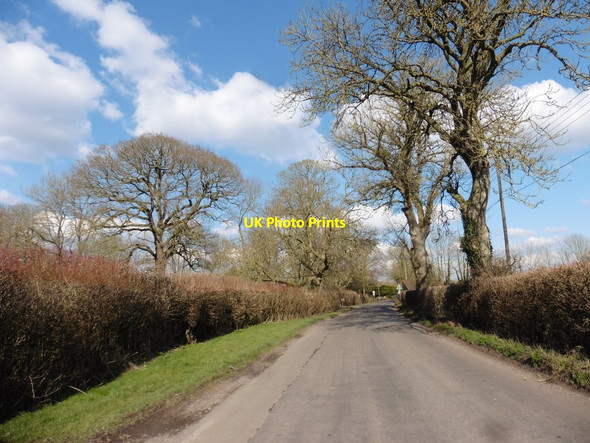 Photo 6"x4" Common Lane Keinton Mandeville c2018