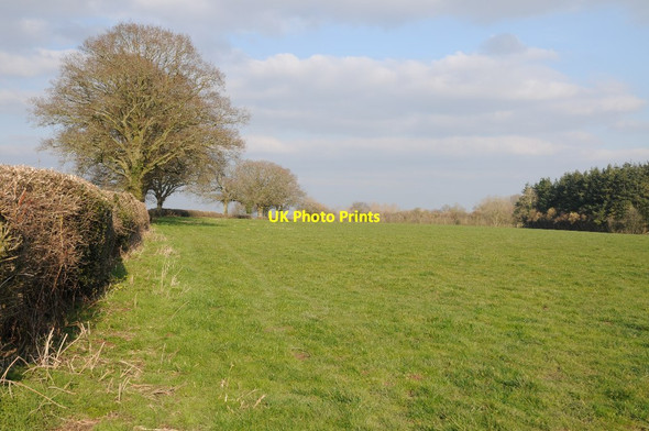 Photo 6"x4" Field near Sherrington Barn Bearwood\/SO3856 c2018