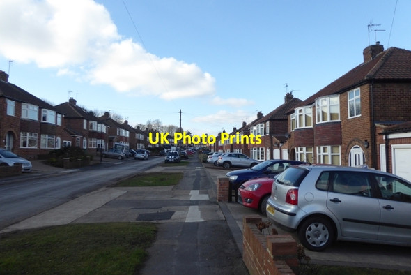 Photo 6"x4" Newland Park Drive Heslington c2018
