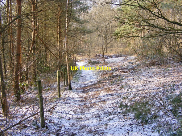 Photo 6"x4" Snowy Path Dunsley\/SO8583 c2018