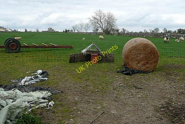 Photo 6"x4" Carrowreagh East Monivea c2009