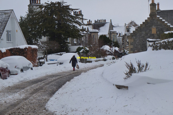 Photo 6"x4" Snow in Springwood Terrace, Peebles Peebles\/NT2540 c2018