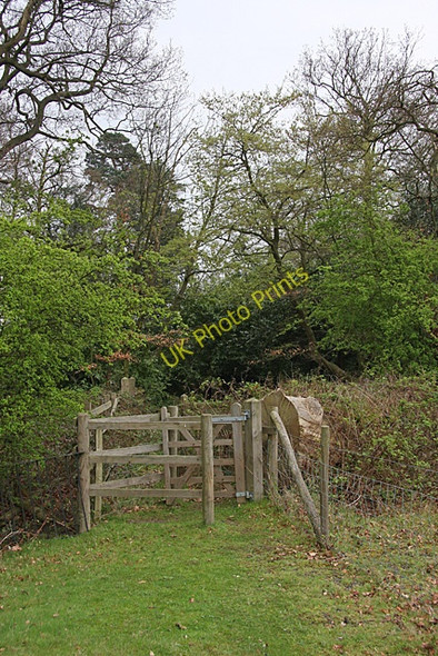 Photo 6"x4" Footpath in Wrotham Park Potters Bar c2009