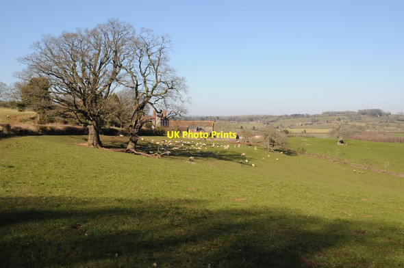 Photo 6"x4" Hill House Farm Bromyard Downs c2018