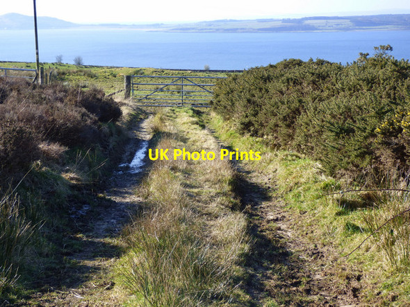 Photo 6"x4" Gate at Figgatoch Farm Millport c2018