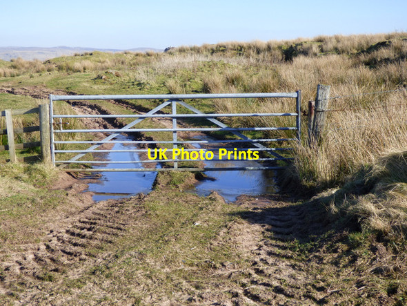 Photo 6"x4" Gate at Figgatoch Farm Millport c2018 P1