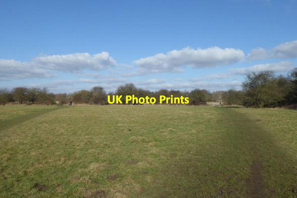 Photo 6"x4" Walmgate Stray York\/SE5951 c2018