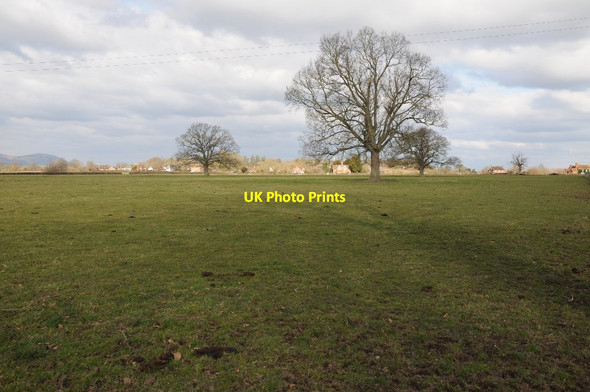 Photo 6"x4" Field near Newbridge Green Longdon Heath c2018