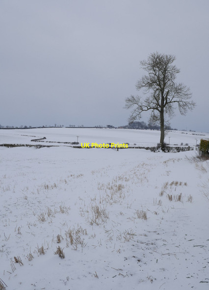 Photo 6"x4" Winter stubble at Jardinefield Hilton\/NT8850 c2018