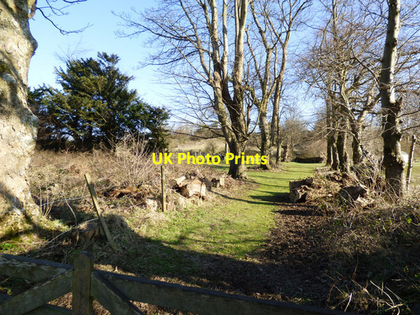 Photo 6"x4" Old graveyard Millport c2018