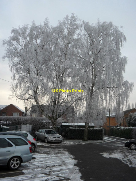 Photo 6"x4" Sir John Sherbrooke Primary School Staff Carpark Calverton\/SK6149 c2013