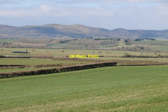 Photo 6"x4" View across Longdon Marsh Longdon\/SO8336 c2018