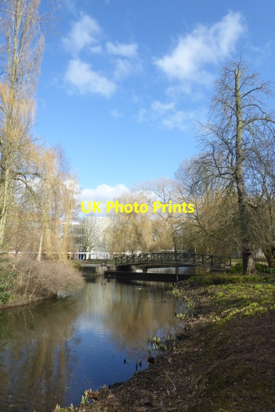 Photo 6"x4" Spring Lane Bridge Heslington c2018