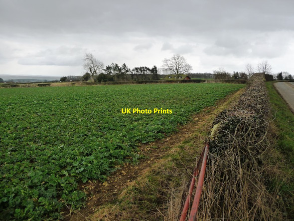 Photo 6"x4" Corner of an arable field, off Watlass Moor Lane Thornton Watlass c2018