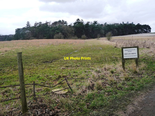 Photo 6"x4" The south-west corner of New Covert Burrill c2018