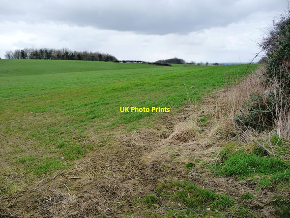 Photo 6"x4" Shallow valley south-east of Lindale Hill Newton-le-Willows\/SE2189 c2018