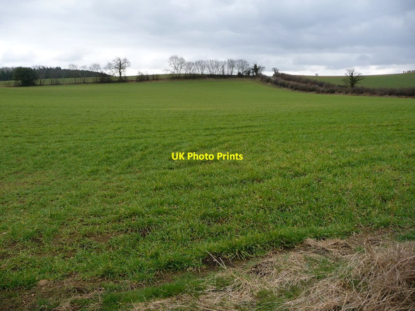 Photo 6"x4" Farmland south of No Man's Moor Lane Newton-le-Willows\/SE2189 c2018