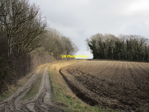 Photo 6"x4" Track to Fox Covert South Ferriby c2018