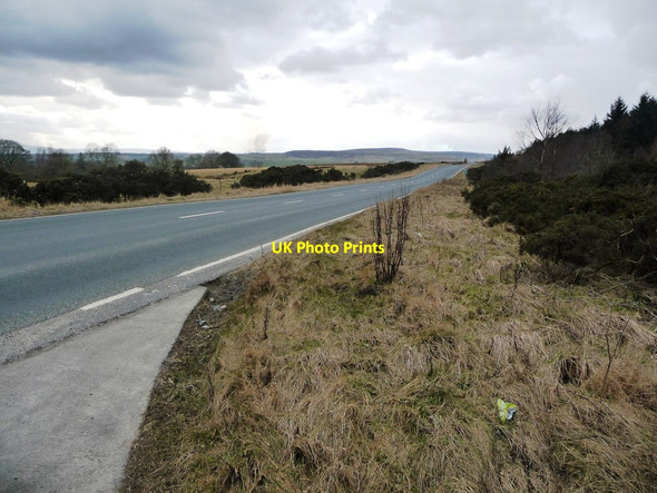 Photo 6"x4" The road to Dykes House and Halfpenny House Barden c2018