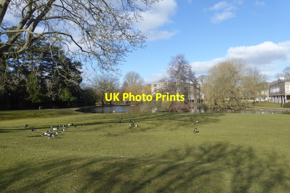 Photo 6"x4" Lake and Derwent Lawns Heslington c2018