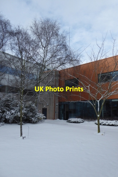 Photo 6"x4" Chemistry Quad in snow Heslington c2018
