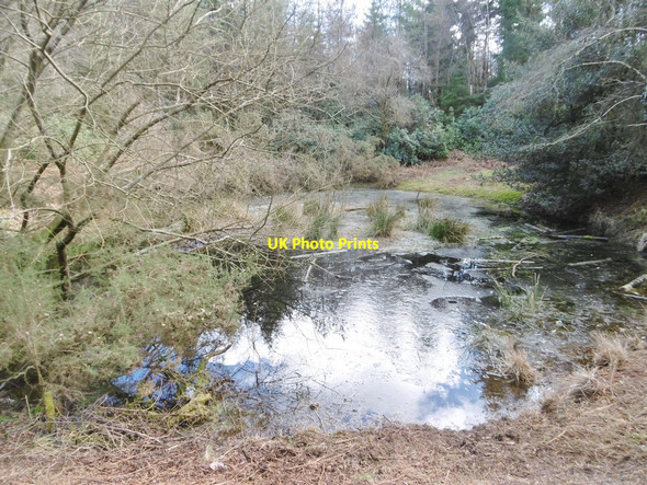 Photo 6"x4" Puddletown, pond Northbrook\/SY7594 c2018