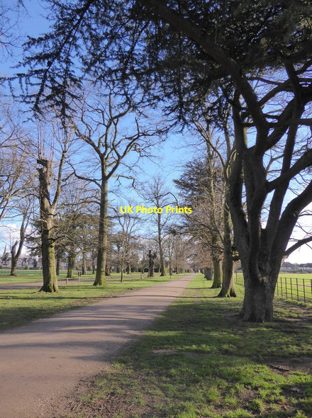 Photo 6"x4" The avenue, Osterley Park Hounslow c2018
