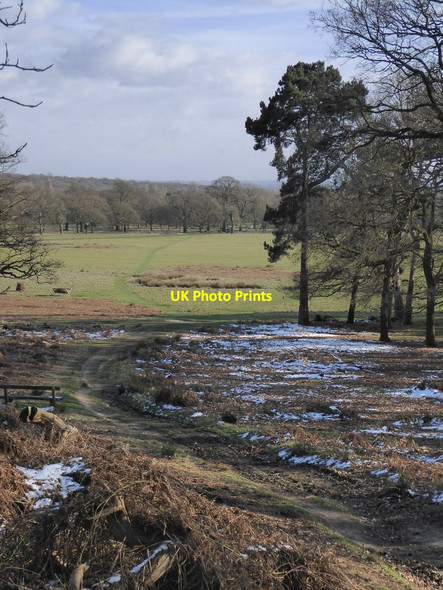 Photo 6"x4" Track by Spankers Hill Wood Kingston Upon Thames c2018