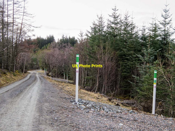 Photo 6"x4" Aonach M\u00c3\u00b2r Mountain Bike Trail Torlundy c2018