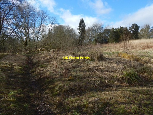 Photo 6"x4" Former site of stables Dumbarton c2018