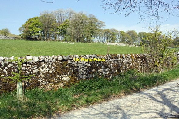Photo 6"x4" Track north of Tarn Moss Water Houses\/SD8867 c2017