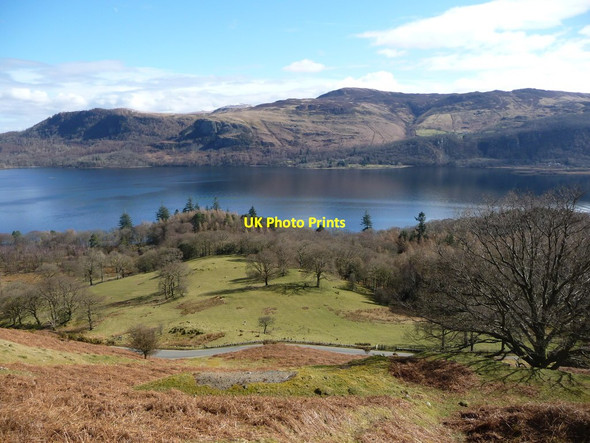 Photo 6"x4" Brandelhow Park from the Allerdale Ramble bridleway Newlands\/NY2320 c2018