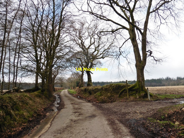 Photo 6"x4" Turning for bridleway to Path Hill Ottery St Mary c2018