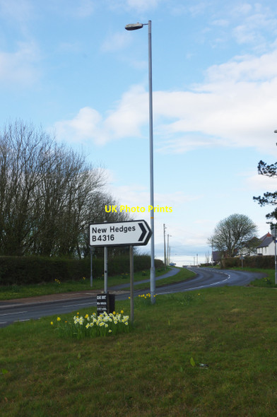 Photo 6"x4" Broadfield Hill, New Hedges Broadfield\/SN1303 c2018
