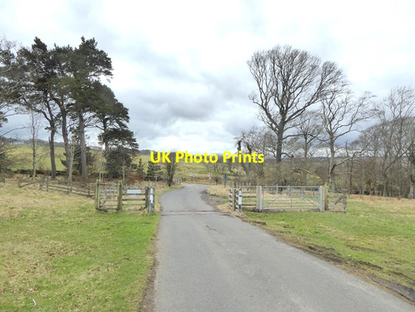 Photo 6"x4" Cattle grid near Forestburn Gate Nunnykirk c2018