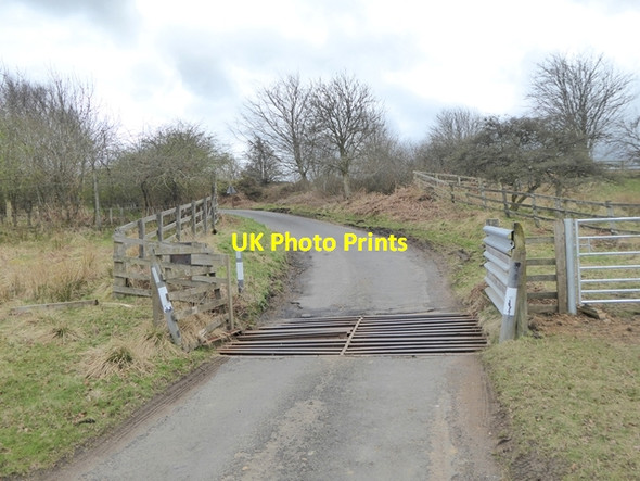 Photo 6"x4" Damaged cattle grid Nunnykirk c2018