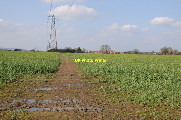 Photo 6"x4" Footpath and pylons Shoulton c2018