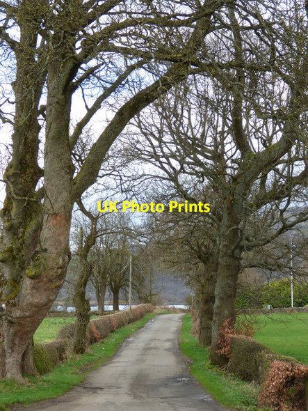 Photo 6"x4" Golf Road Erskine c2018