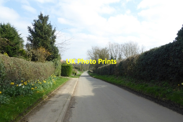 Photo 6"x4" Village of Whenby Whenby c2018