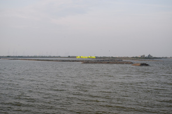 Photo 6"x4" Cliffe Pools Nature Reserve Cliffe\/TQ7376 c2018
