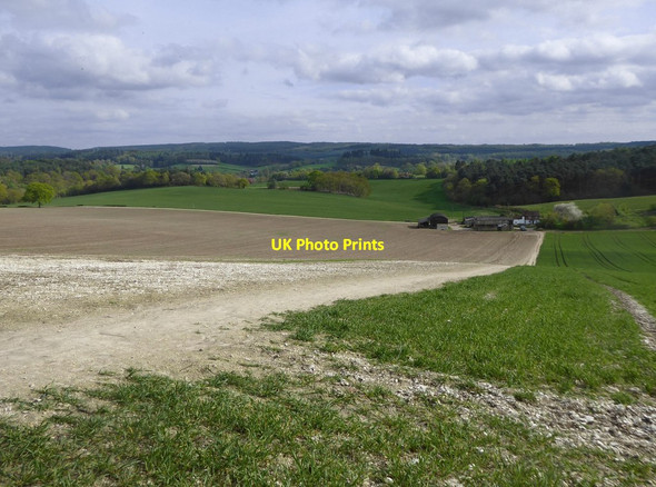 Photo 6"x4" Footpath to Newbarn Newlands Corner c2018