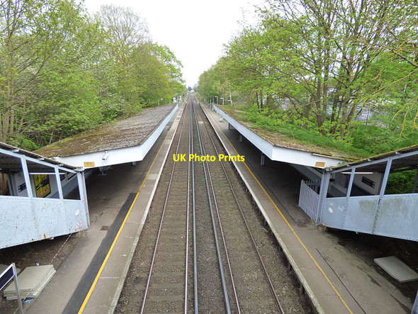 Photo 6"x4" Falconwood Station Bexley c2018