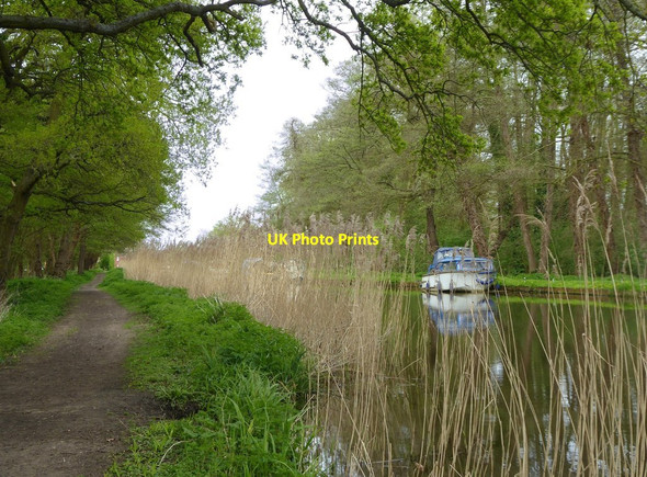 Photo 6"x4" The Wey Navigation above Papercourt Lock Send Marsh c2018