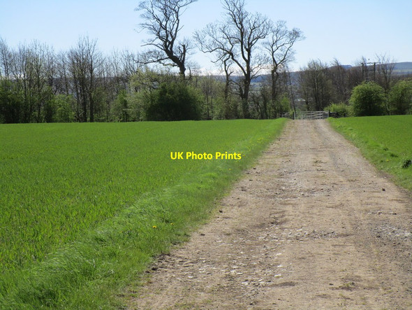 Photo 6"x4" Bridleway to Lanehead Lane Hutton Magna c2018