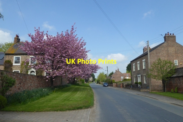 Photo 6"x4" Blossom in Flawith Flawith c2018