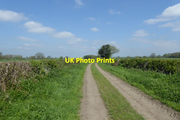 Photo 6"x4" Fawdington to Crakehill bridleway Crakehill c2018
