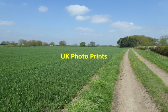 Photo 6"x4" Bridleway to Crakehill Crakehill c2018